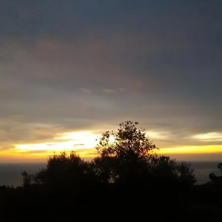 South Side ゲストハウス 3*