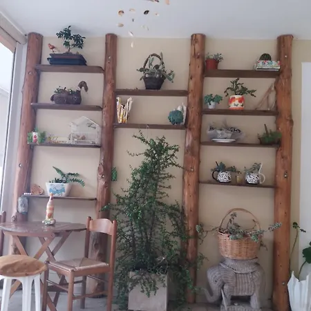 South Side ゲストハウス 3*