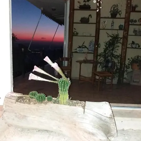 ゲストハウス South Side Athánion